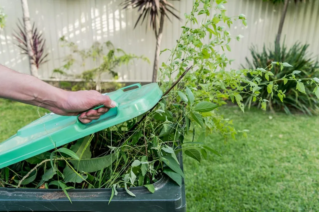 Filling a green waste bin with weeds and garden trimmings